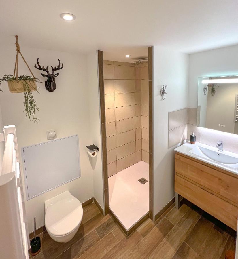 Le Repere Du Cerf T2 Residence Royal Milan St Lary Soulan Saint-Lary-Soulan Eksteriør bilde